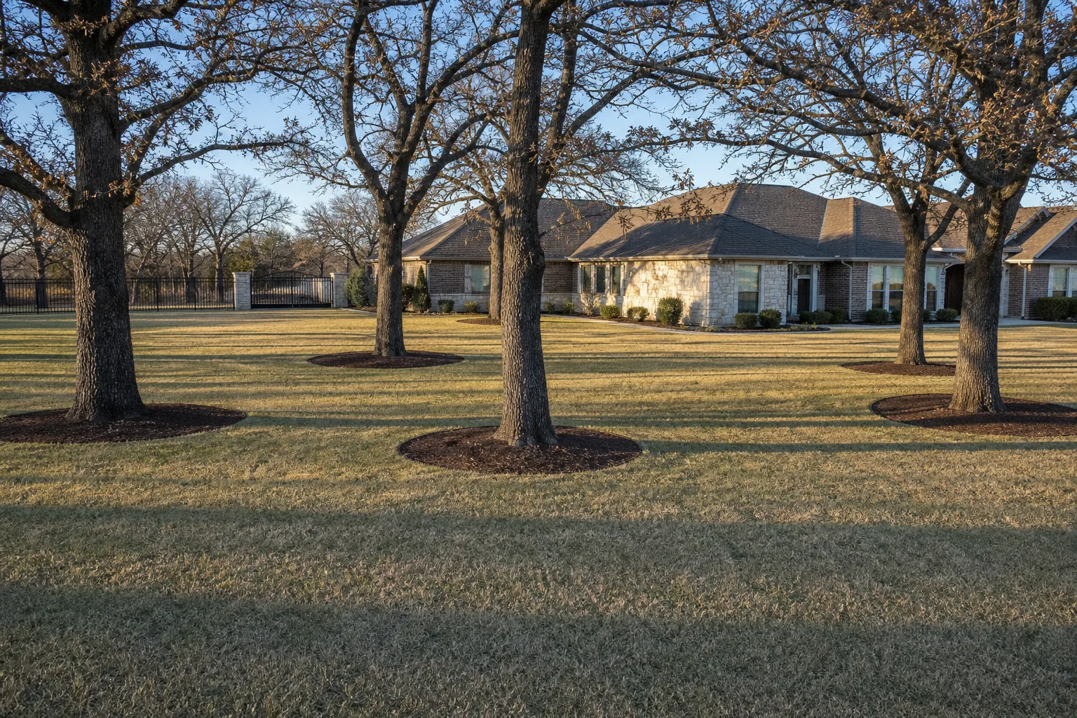 What Is Required for Leaf and Limb Cleanup?