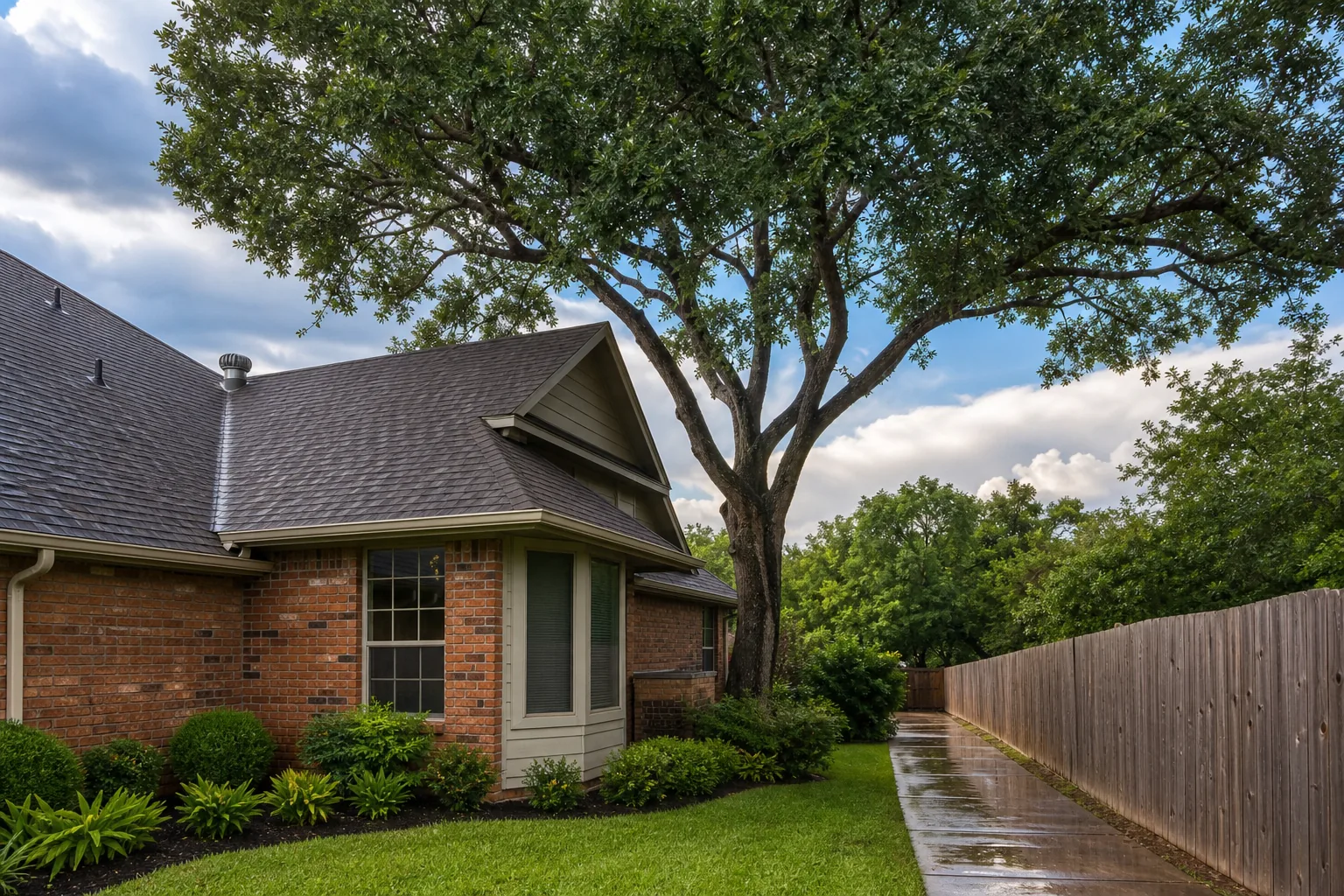 When Is Tree Care Useful?